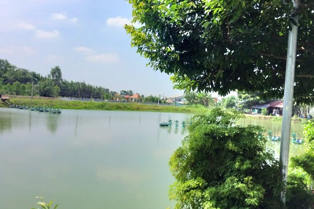 Tour-team-building-ca-no-cao-toc-ben-tre-tham-quan-17