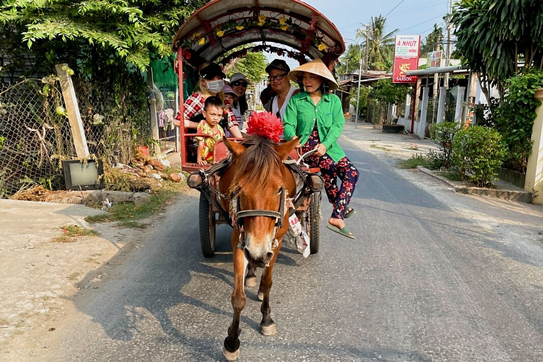 Tour-team-building-ca-no-cao-toc-ben-tre-tham-quan-6