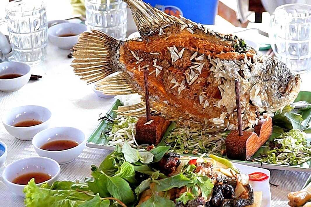 Tour-team-building-ca-no-cao-toc-ben-tre-tham-quan-9