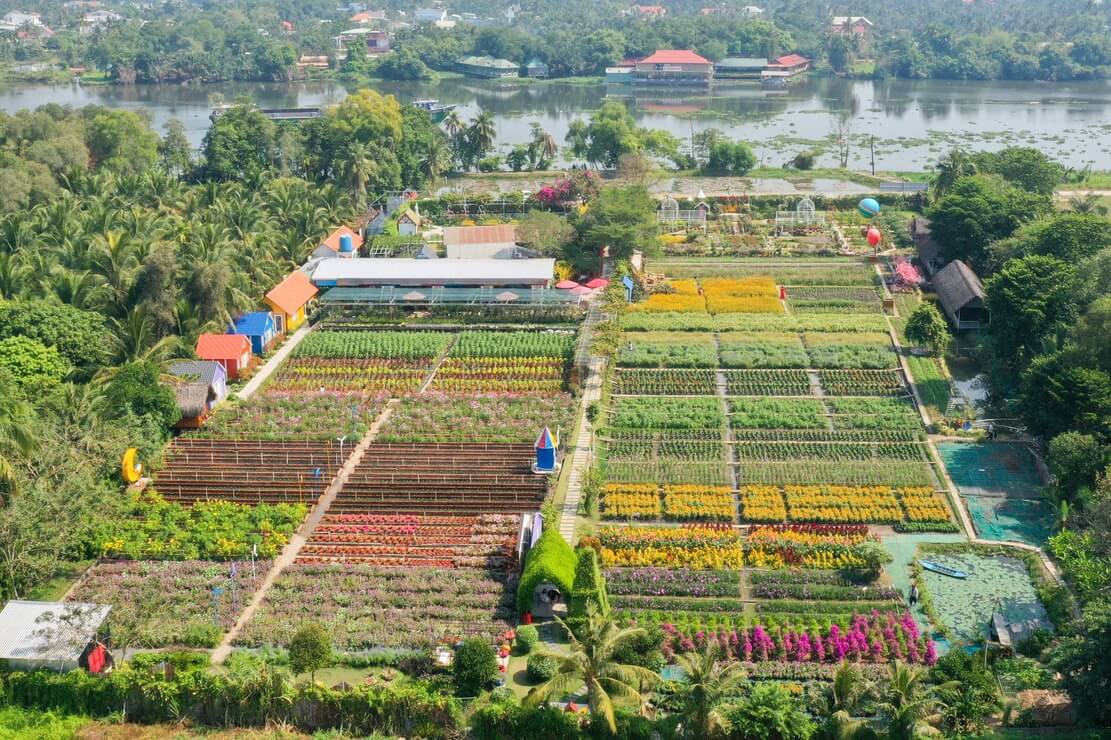 Team-building-binh-my-tham-quan-canh-dong-hoa-va-mieu-noi-1