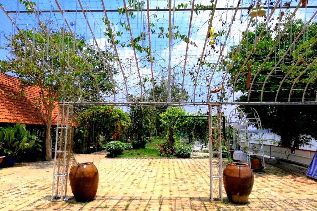 Team-building-binh-my-tham-quan-canh-dong-hoa-va-mieu-noi-10