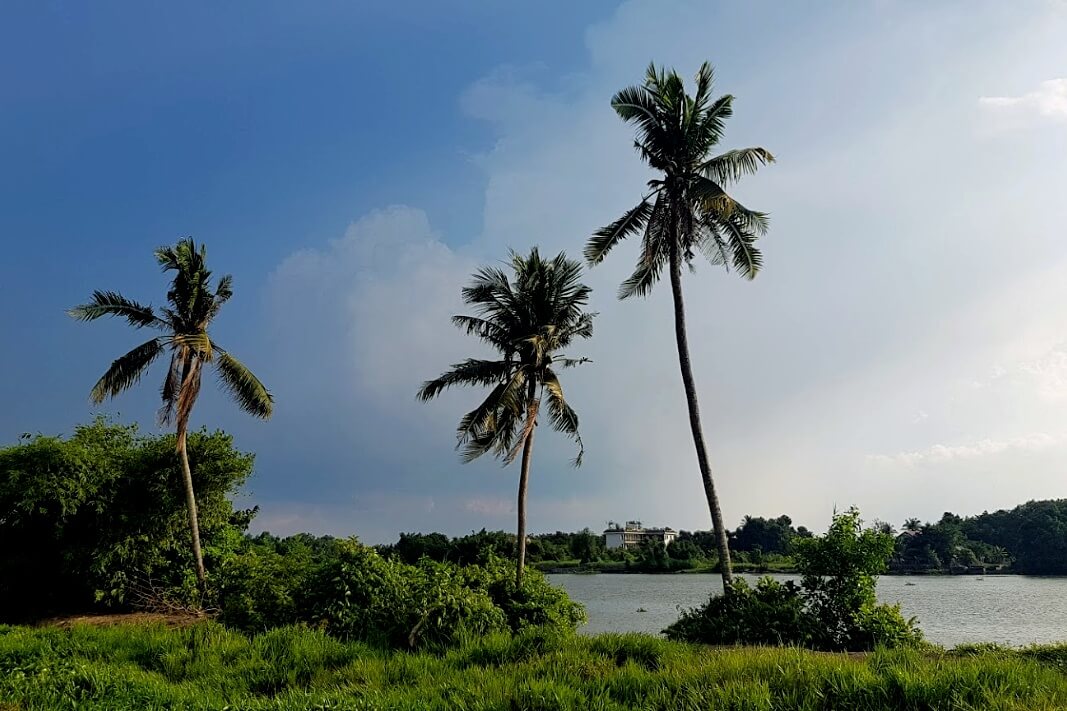 Team-building-binh-my-tham-quan-canh-dong-hoa-va-mieu-noi-18