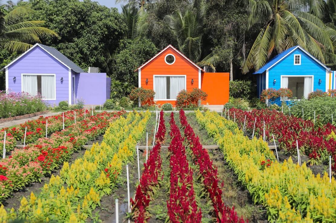 Team-building-binh-my-tham-quan-canh-dong-hoa-va-mieu-noi-19